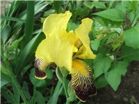 2a31fe3d-Picture 006.jpg